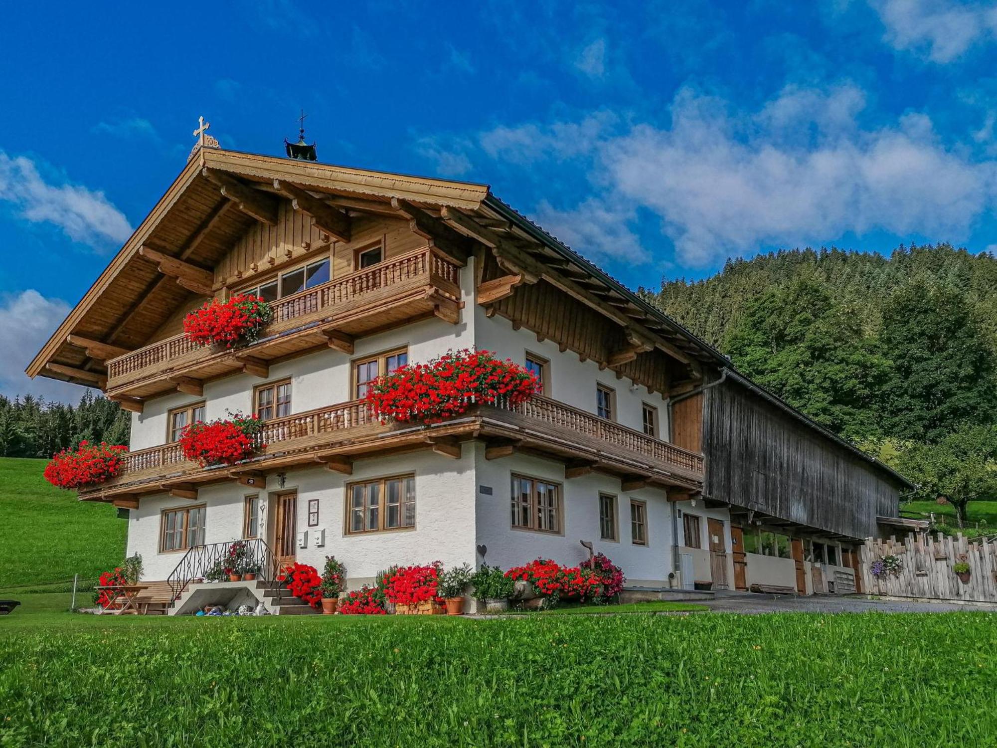Ferienwohnung Flicklhof XL Hopfgarten im Brixental Exterior foto