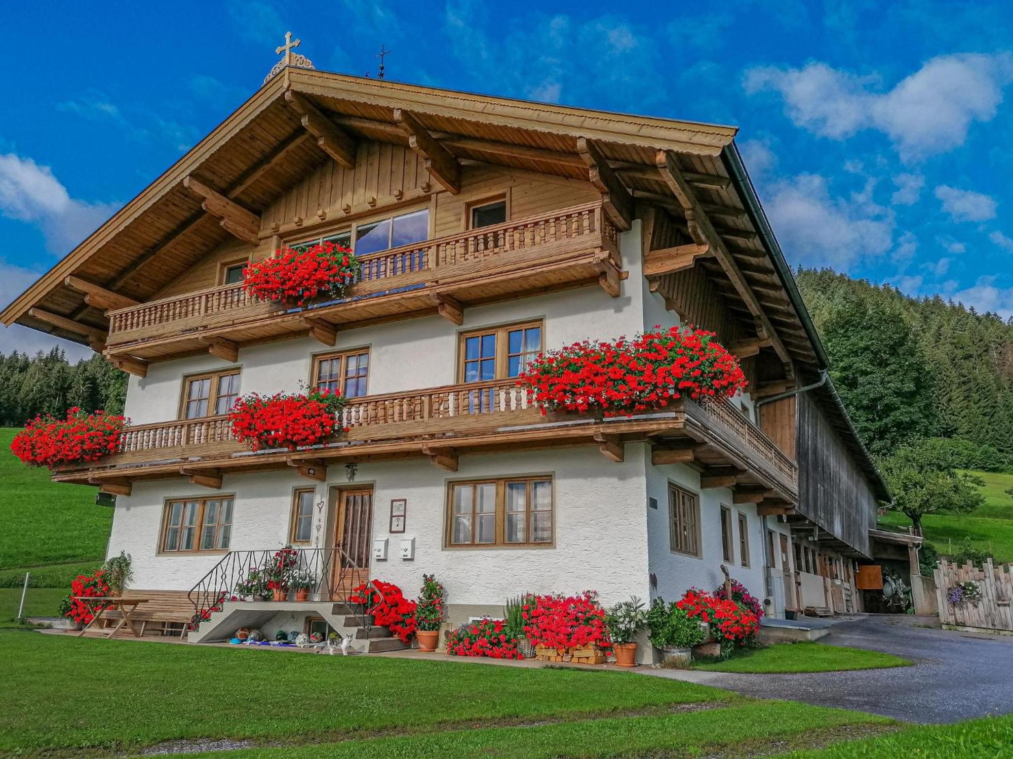 Ferienwohnung Flicklhof XL Hopfgarten im Brixental Exterior foto